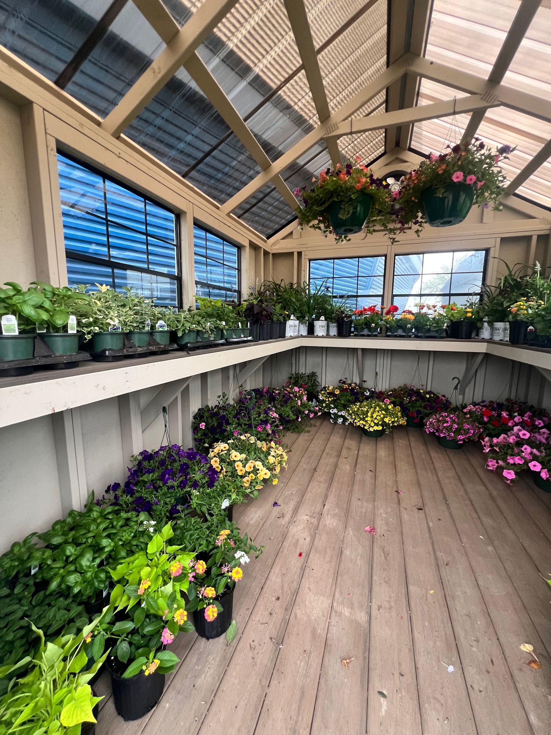 Introducing Greenhouses | Gardening Sheds